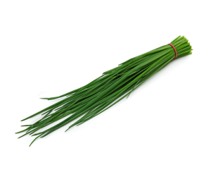Szczypiorek gruby pęczek (szt)