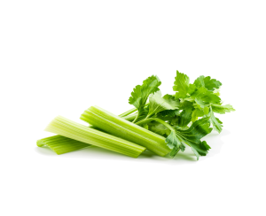 Seler naciowy (szt)