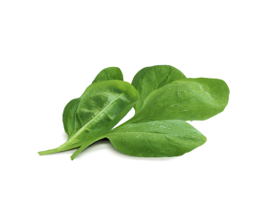 Szpinak opak. 125g