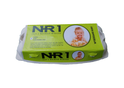 nr1.png