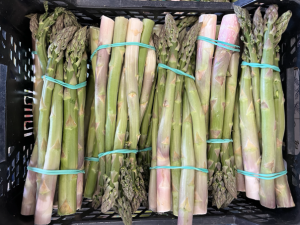 Szparagi zielone pęczek (500g)